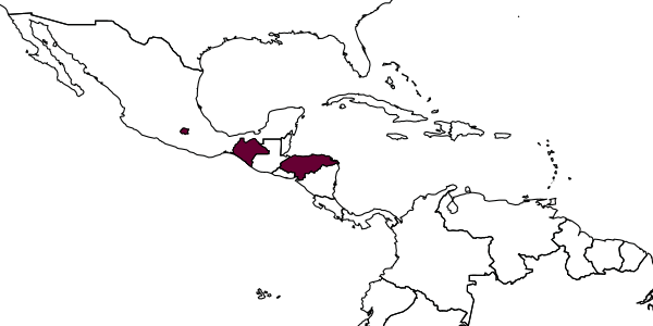 map of Caliadurgus aberrans     (Dreisbach, 1961)